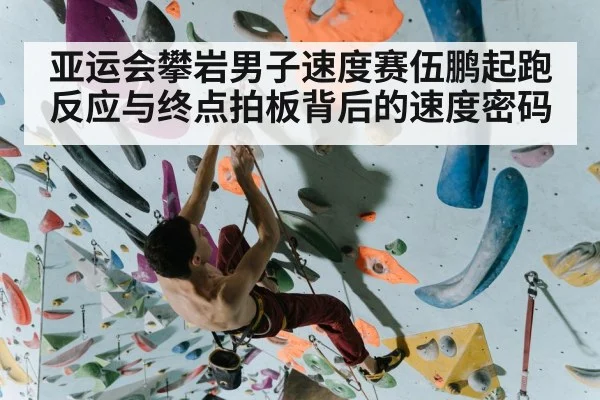 亚运会攀岩男子速度赛伍鹏起跑反应与终点拍板背后的速度密码